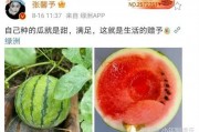 娱乐新鲜事吃瓜,揭秘明星幕后故事