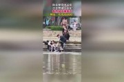 吃瓜群众视频来源于哪里,探寻网络热点背后的真相